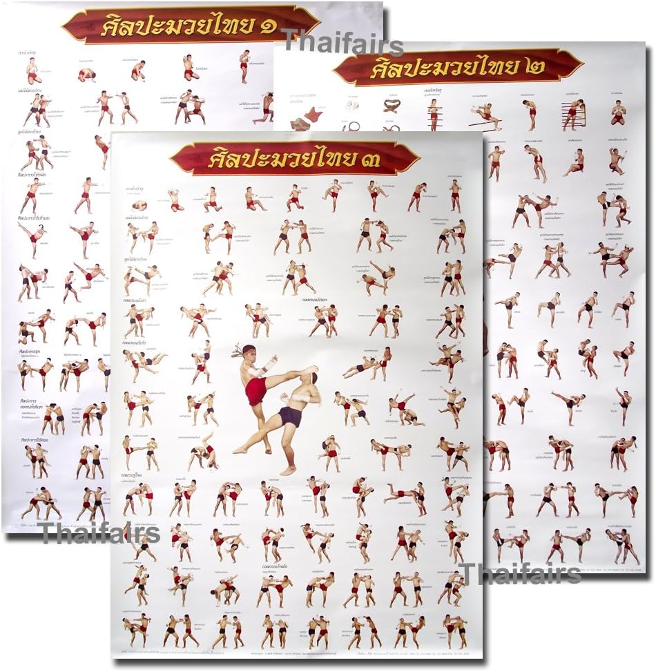 Siam Trade Muay Thai Kickboxing Technical Training Education Poster
