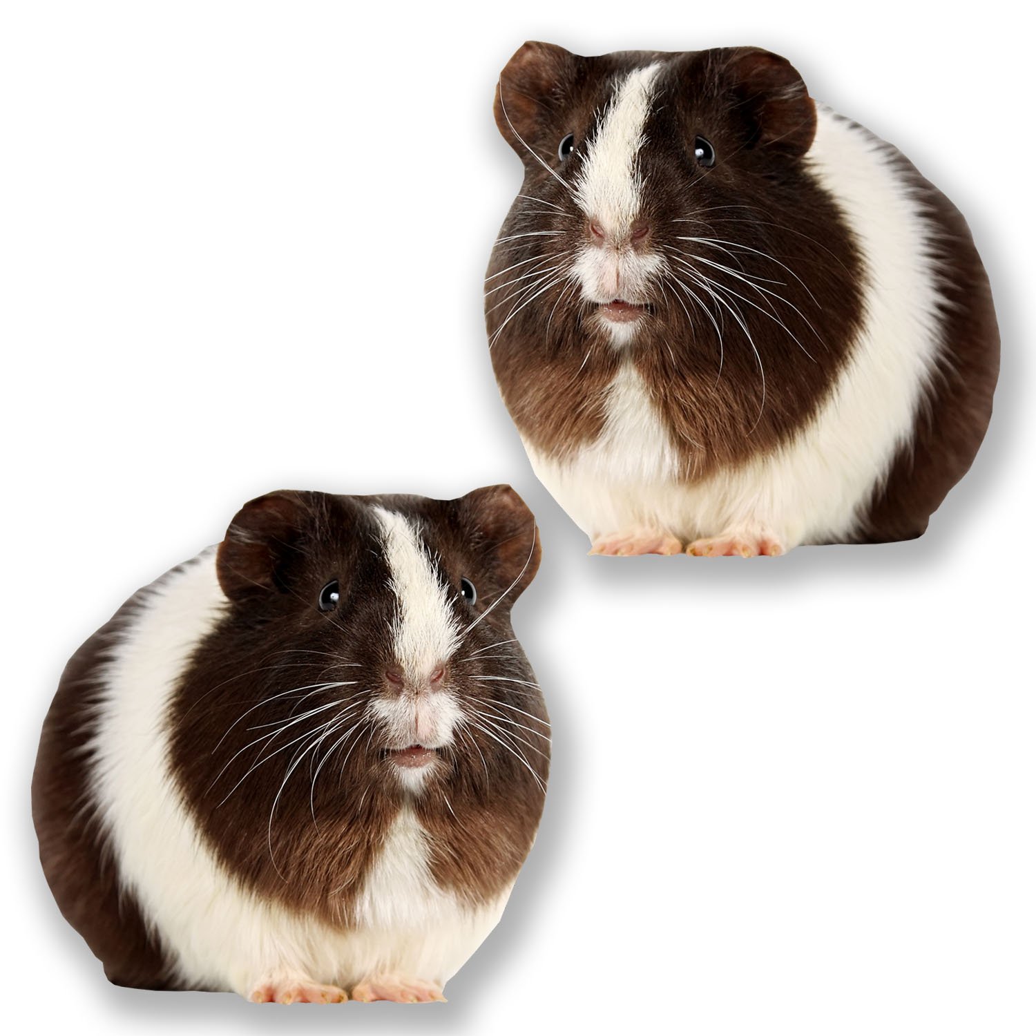 Destinationvinyl Multi 2 X 10Cm Guinea Pig Vinyl Sticker Decal Car Laptop Tablet Animal Cute #6617 (10Cm X 10Cm)