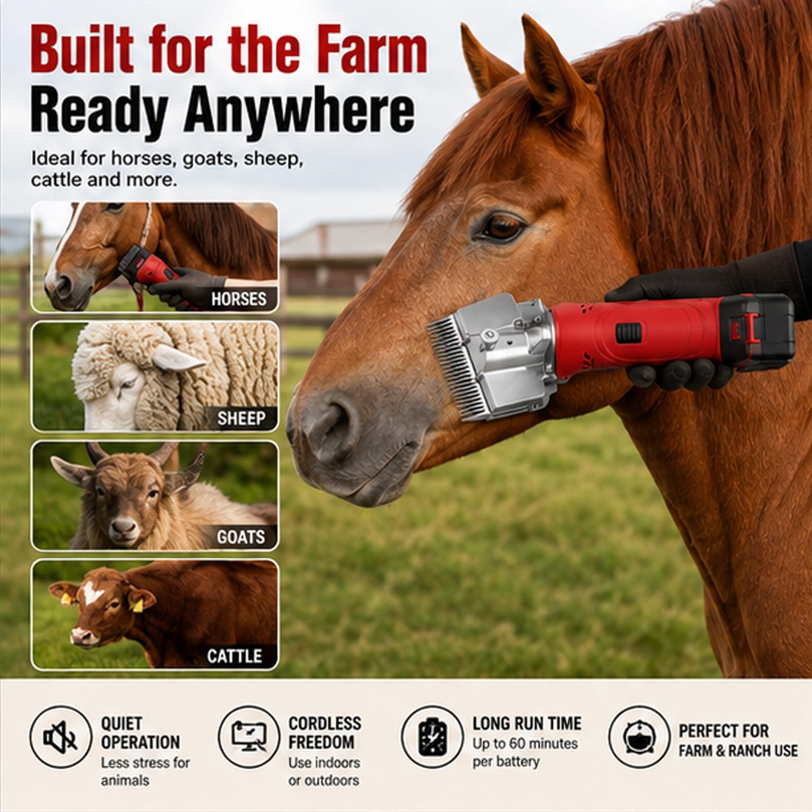 Tosatrici elettriche per cavalli a batteria, cesoie equine a basse vibrazioni da 500 W, 6 velocità, 2800 giri/min per cappotti per animali domestici e bestiame