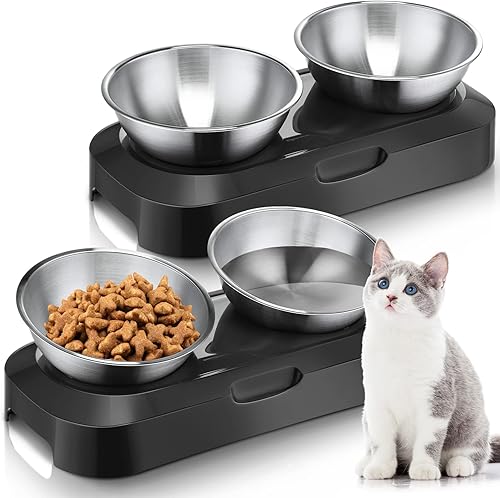 Paquete de 2 tazones elevados inclinados para gatos de acero inoxidable para alimentos y agua para gatos, juego de cuencos inclinados de 0 y 15 para
