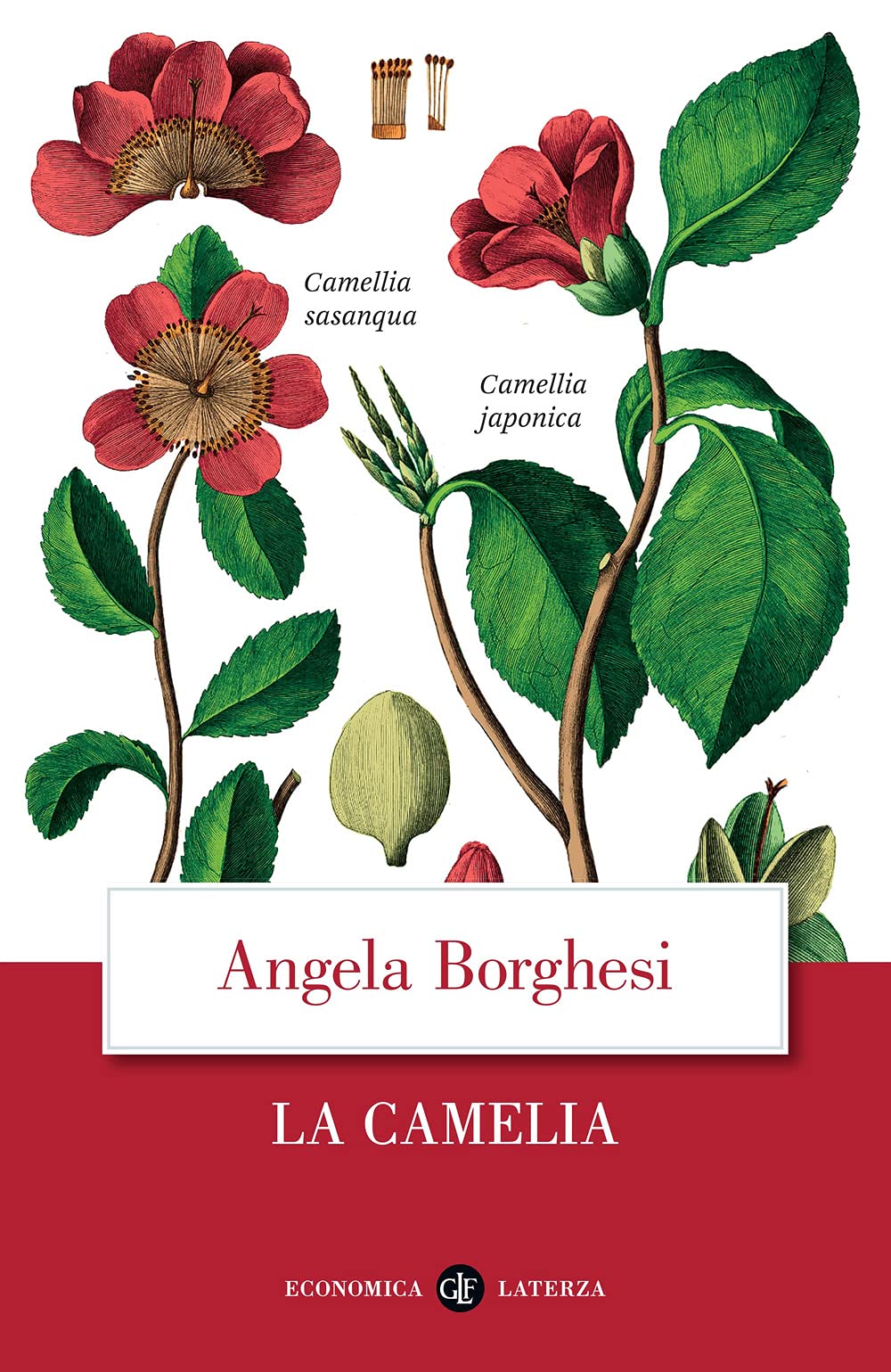 La Camelia - 4