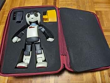 71mjJxH4e-L._AC_UF350,