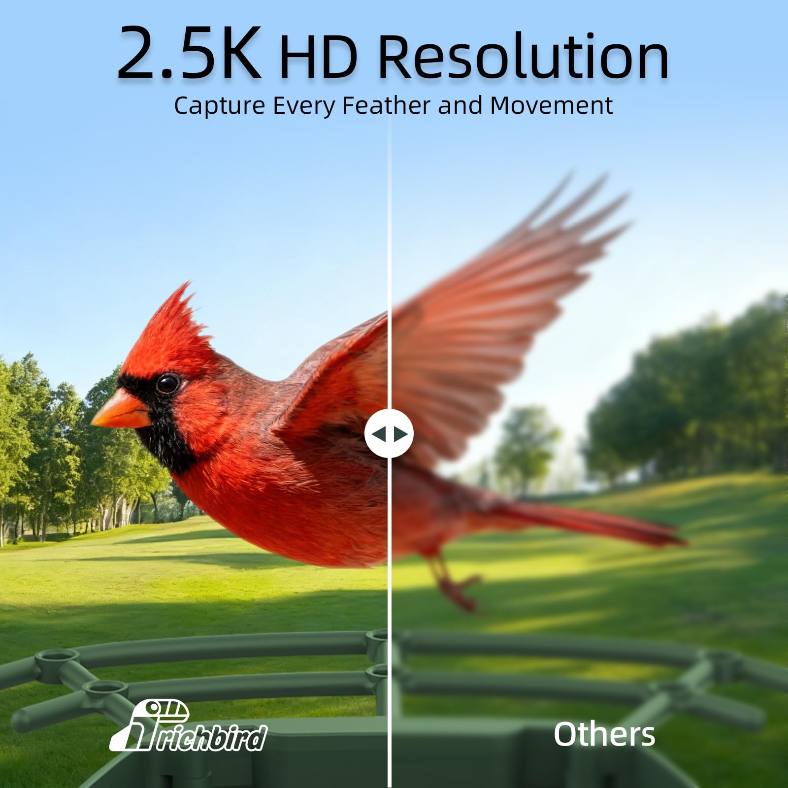 Comedero inteligente mejorado para pájaros con cámara HD 4K, cámara de observación de aves con IA para identificar pájaros y panel solar para exteriores, captura automática de video y notificaciones