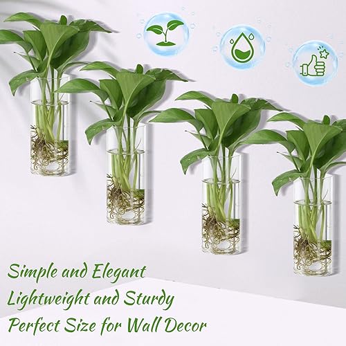 Miniatura 4 de Baderke 6 piezas de jarrón de pared de vidrio para plantas colgantes de propagación de interior con ganchos invisibles de plástico sin rastros de