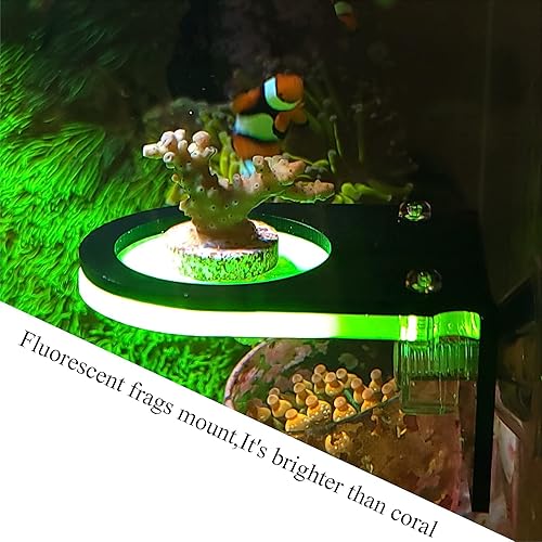 Miniatura 4 de Coral Frag Rack - Soporte vertical Coral - Rojo, Amarillo, Naranja, Verde - Pequeño - Interior - Acuario Marino