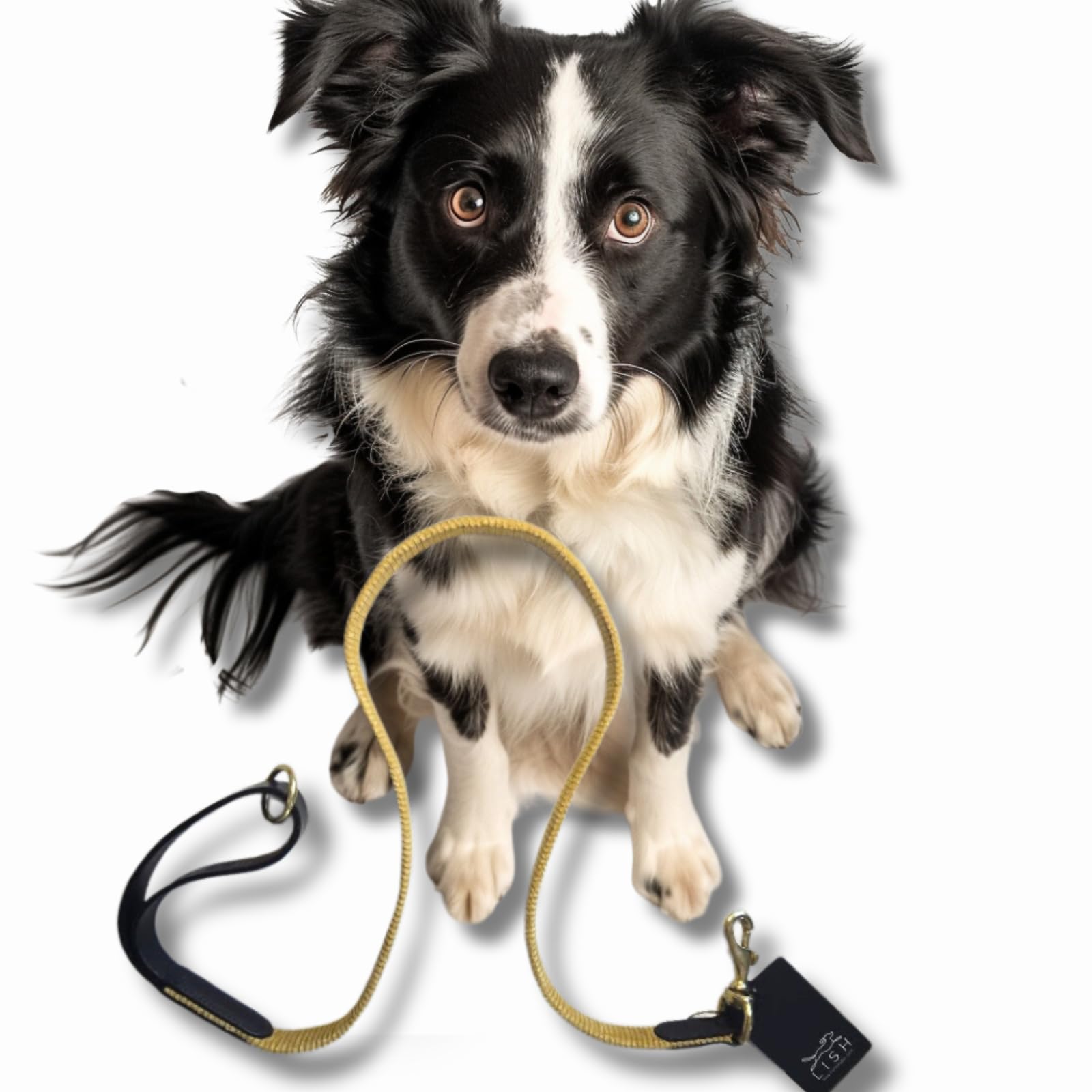 Luxury Handcrafted Dog Lead, Yellow Cord & Black Leather for Medium Dogs & Puppies, Made in UK, Vegetable-Dyed Italian Leather and Wide Wale Corduroy, Designer Pet Leash (Medium)