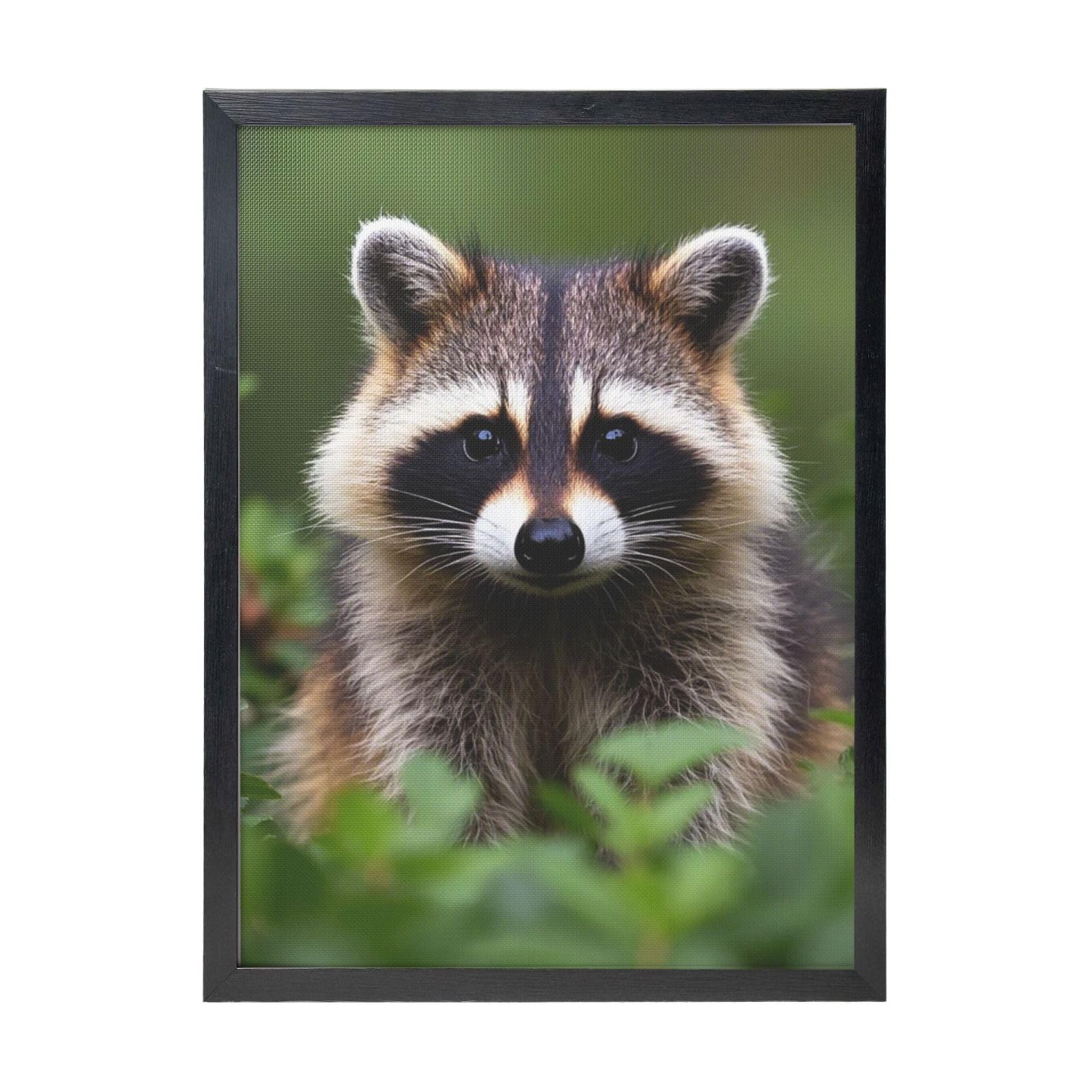 Framed Wall Art - Decorative Canvas Painting Cute Raccoon Pictures Poster Aesthetic Modern Prints Artwork for Bedroom Office Wall Decor Ready To Hang 12x16 in