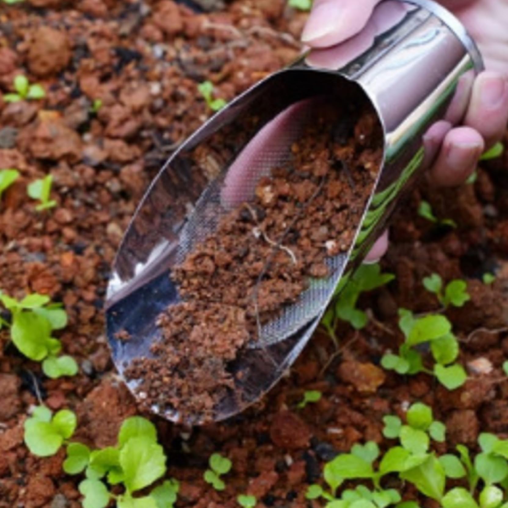 Nirelief 3Pcs Bonsai Soil Scoop 3 Size Stainless Steel Soil Scoop with Fine Mesh Sieve Sturdy & Smooth Gardening Tools for Indoor Plant, Potted Succulent