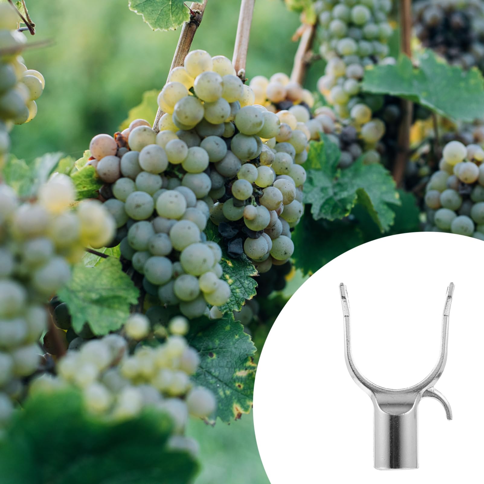 Abaodam 6pezzi Supporti per Rami Alberi da Frutto in Antiruggine Struttura Leggera e Resistente per Giardinaggio Tutori per Piante da Frutto Come Citrus e Susino Facili da Installare