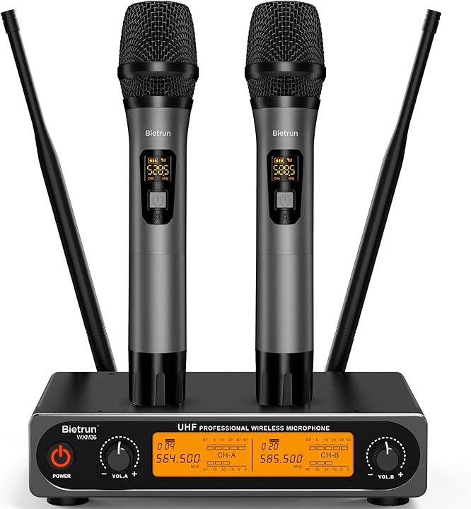 Bietrun Professinal Wireless Microphone System