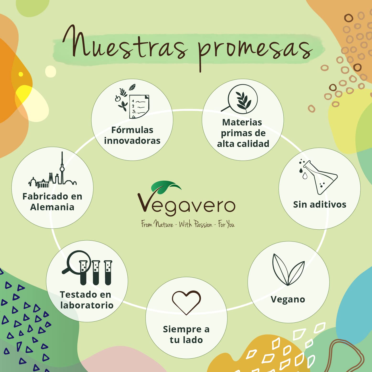 Chaga Orgánico Vegavero | Dosis Más Alta: 6000 mg (10:1) | 40% Polisacáridos & 30% de Betaglucanos | Sin Aditivos & Vegano | Inonotus obliquus | Mushroom BIO |120 Cápsulas