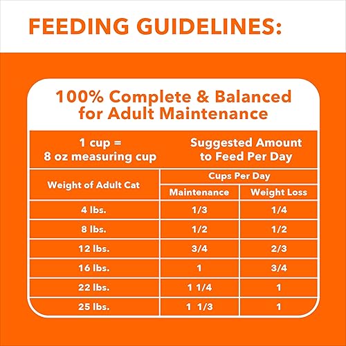 Vista 6 de Iams Proactive Health Adult Indoor Weight & Hairball Control Comida seca para gatos