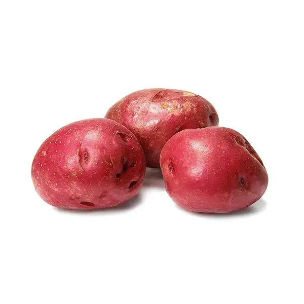 Organic Red Potato 2