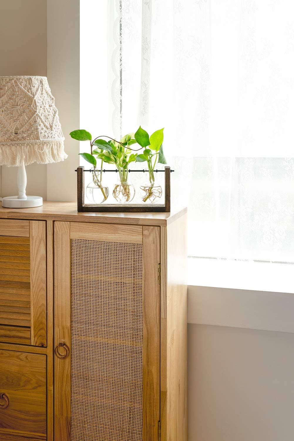 Mkono Plant Propagation Wall Hanging Terrarium with Wooden Stand Flower Vase Glass Planter Stations for Hydroponic Cutting Home Garden Office Decor Plant Lover Gift