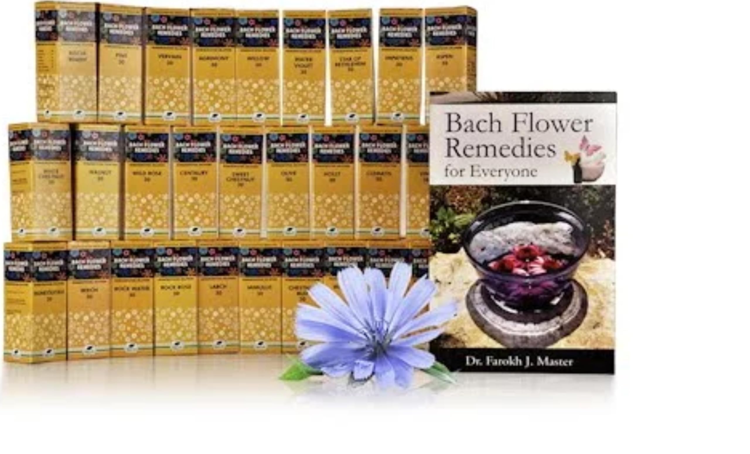 new life Bach Flower Remedies Rescue Remedy kit (pack of 40 pcs x30ml) (B0D1YD43YB) Amazon Price History, Amazon Price Tracker