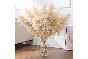 12 PCS Natural Beige Tall Pampas Grasses