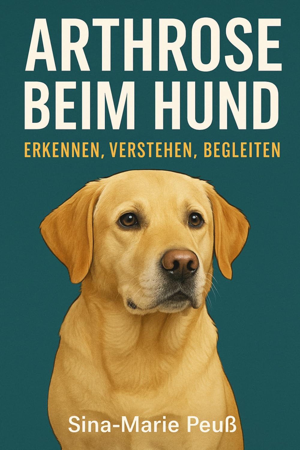 Arthrose beim Hund: Erkennen, Verstehen, Begleiten