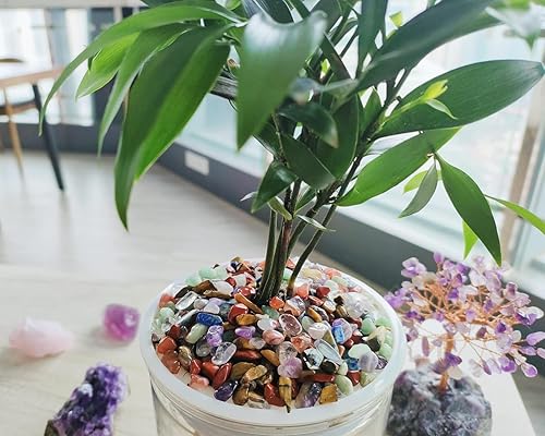 Vista 154 de ZHIYUXI Piedras de cristal de cornalina para pecera, grava, jarrón de relleno, cristales triturados, cristales curativos pulidos, piedra de cuarzo K