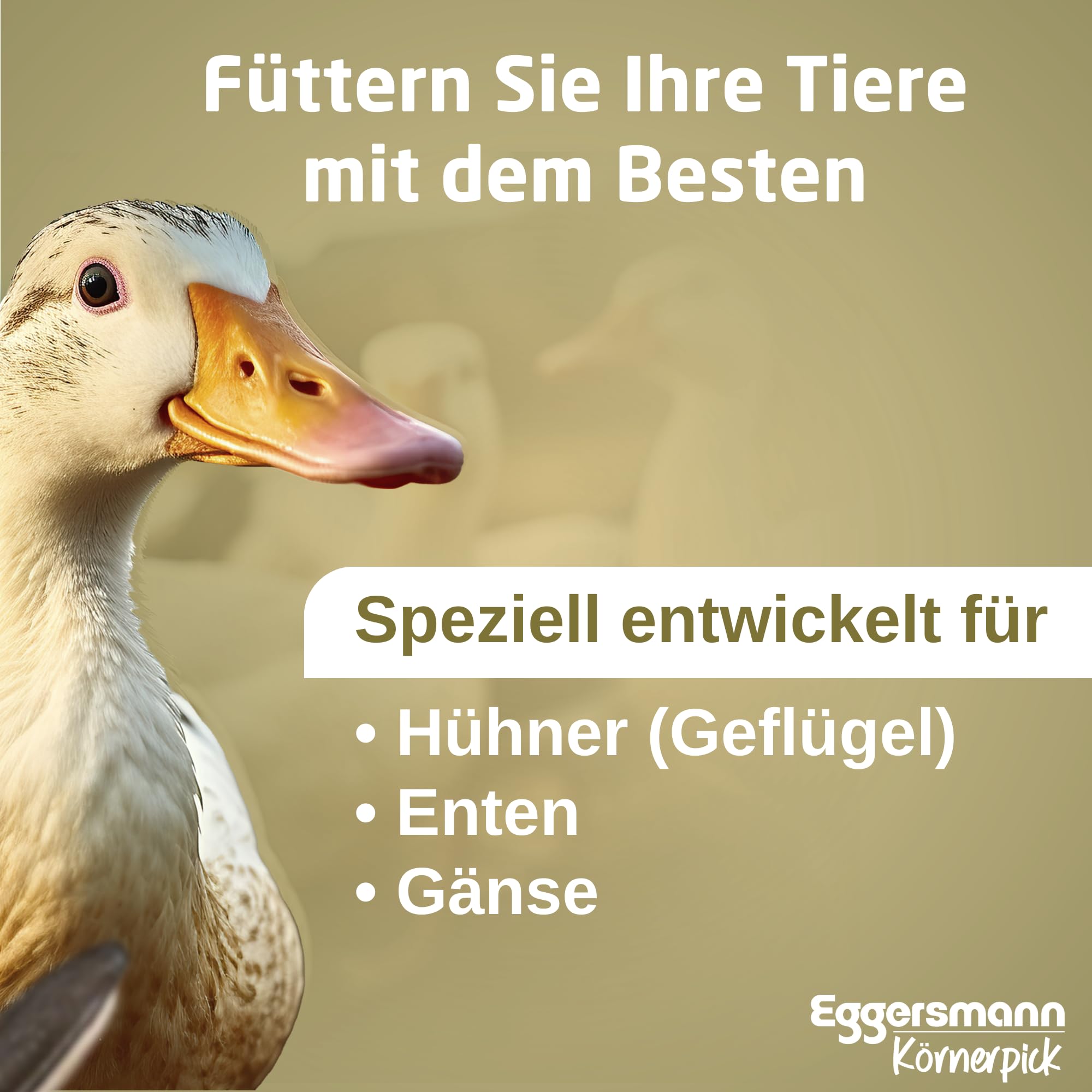 Eggersmann Körnerpick 25 kg Hühnerfutter - Struktur Körnermix Oregano - Hühner Körnerfutter Basic Geflügelfutter - Premium Körnermischung für Hühner Gänse und Enten