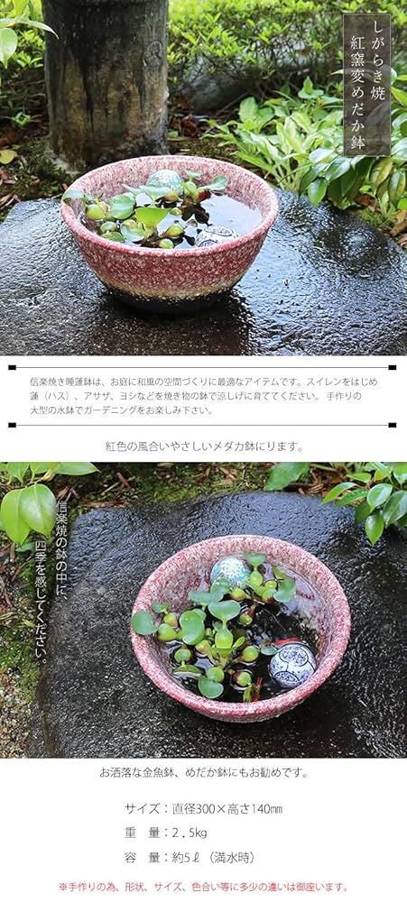 Amazon.co.jp: 信楽焼 睡蓮鉢【10号紅窯変水鉢 su-0258