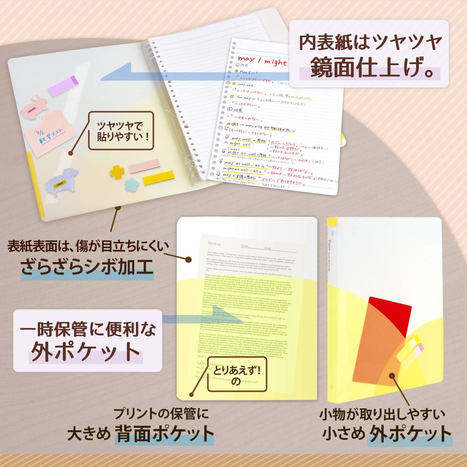 Plus Loose Leaf Binder, Wide B5, Vertical Pasty, 2-Color Set, D Set