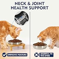 Vista 4 de Cuencos elevados para gatos de interior – Soporte elevado de bambú para gatos con platos de acero inoxidable de 5.5 pulgadas de ancho, plato de mesa