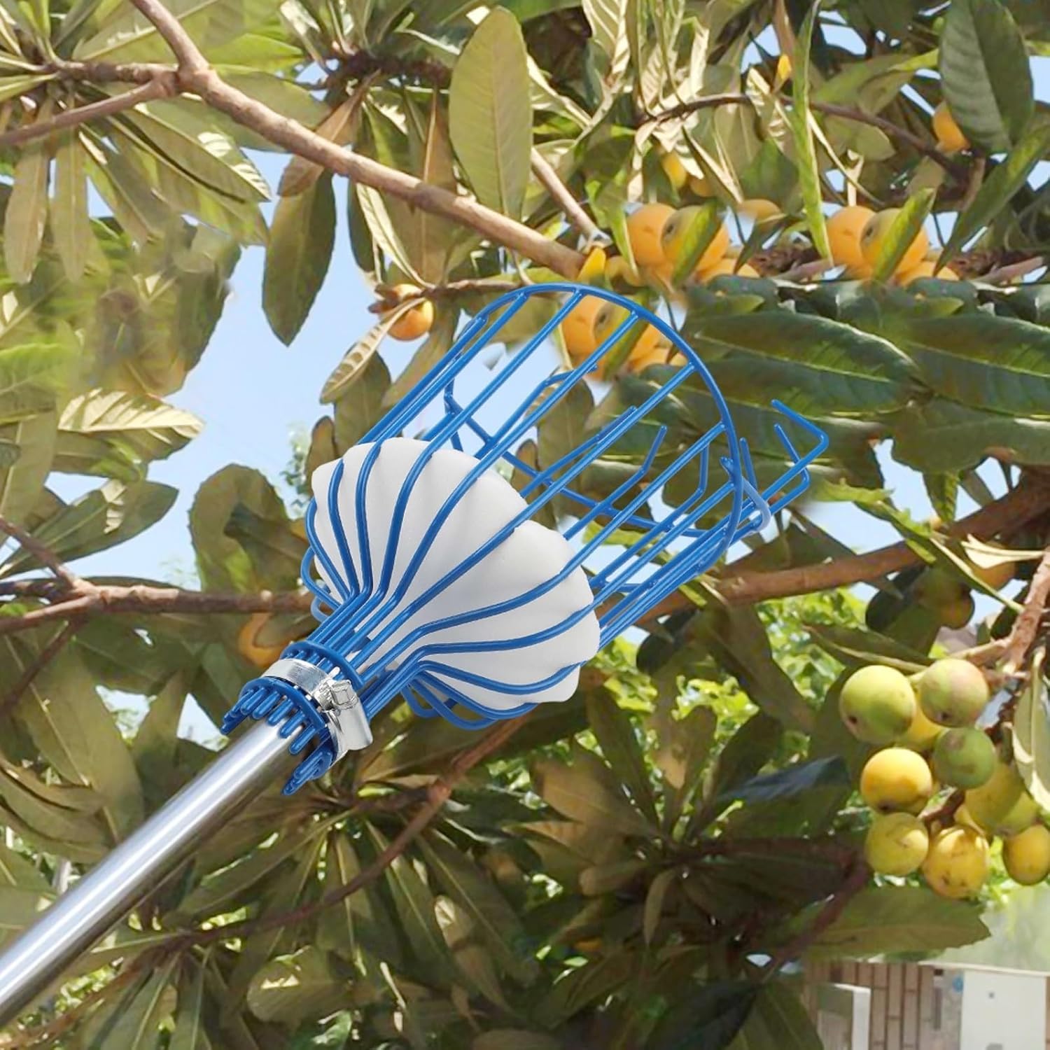 Testa filettata per raccogliere frutta con fissaggio a vite sicuro e struttura in ferro per una raccolta costante di pesche e avocado all'aperto (blu) Bella lavorazione