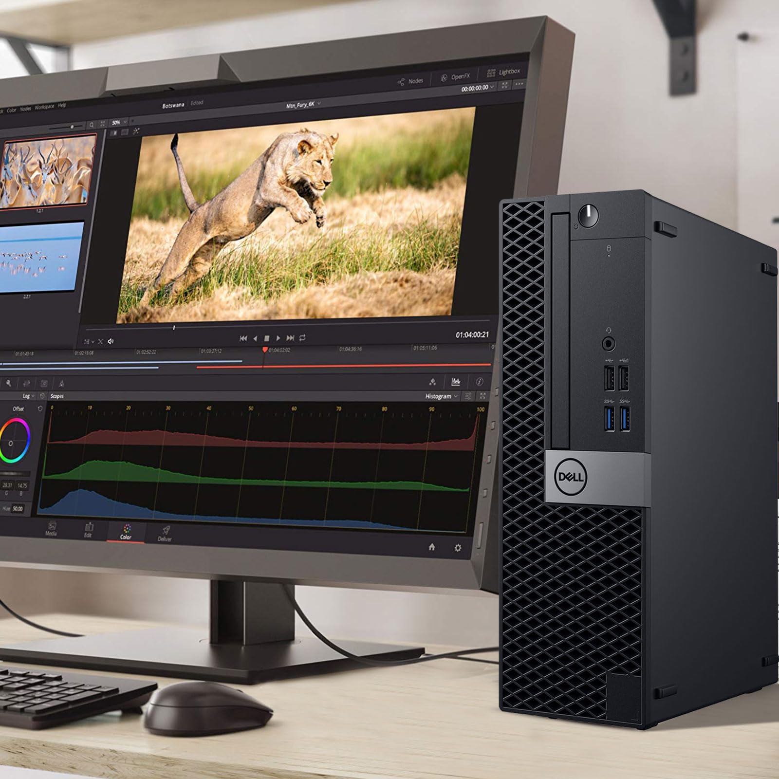 Amazon.com: Dell OptiPlex Small Form Desktop Computer PC, Intel
