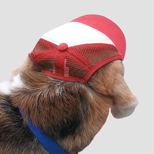 Miniatura 2 de PupLid Sombreros de camionero para perros (pequeños), protección solar elegante de alta calidad para el perro moderno, ajustables para un ajuste