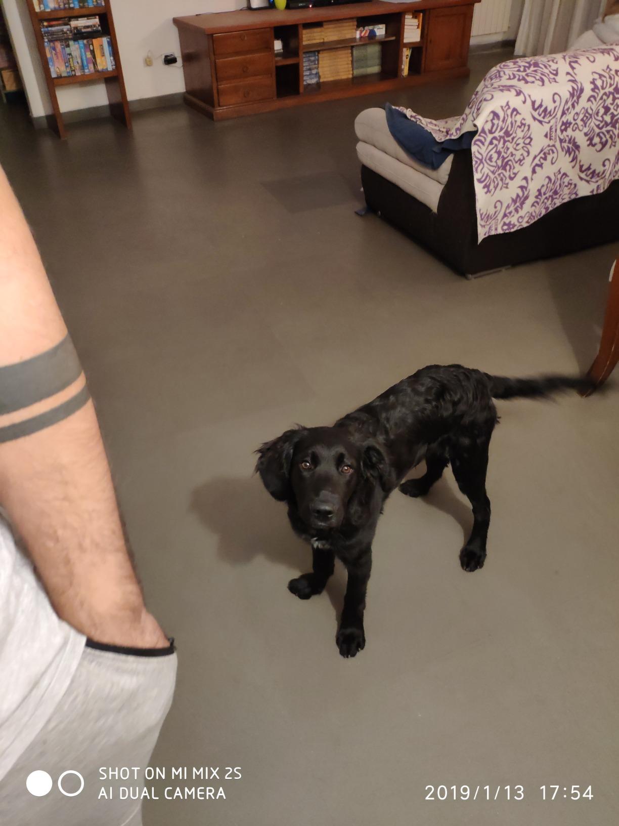 Immagine del cliente