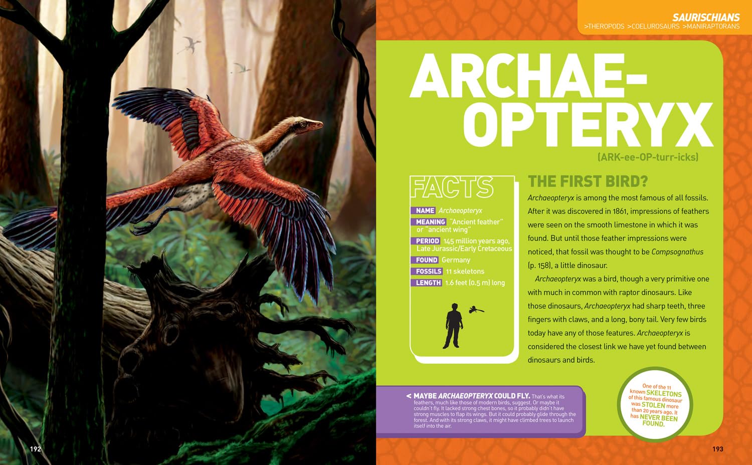 Ultimate Dino-pedia: The fact-packed dinosaur encyclopedia (National Geographic Kids)