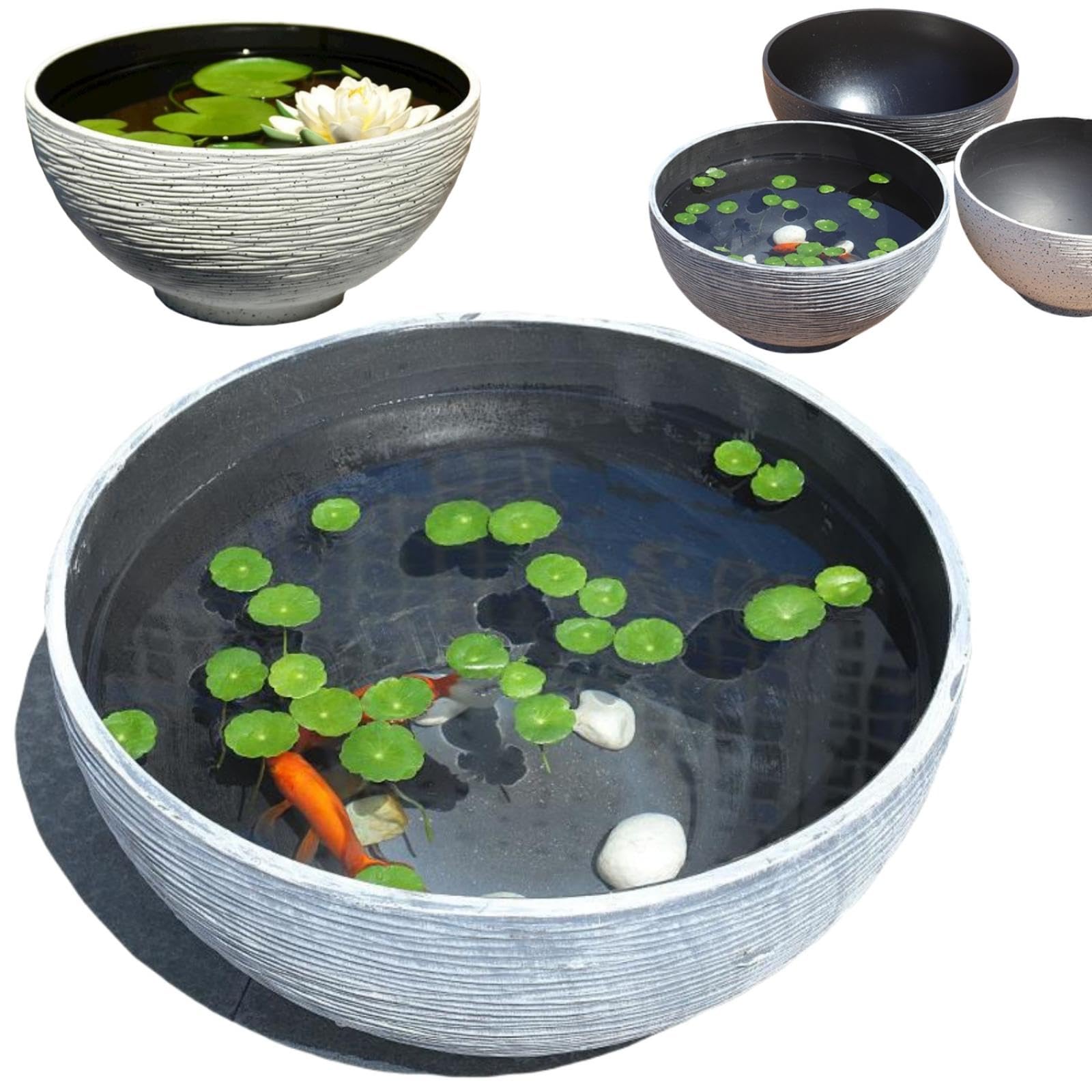 1円～ 1円～ 少し大きめ 睡蓮鉢 メダカ、金魚 40cm JKS M 少し 
