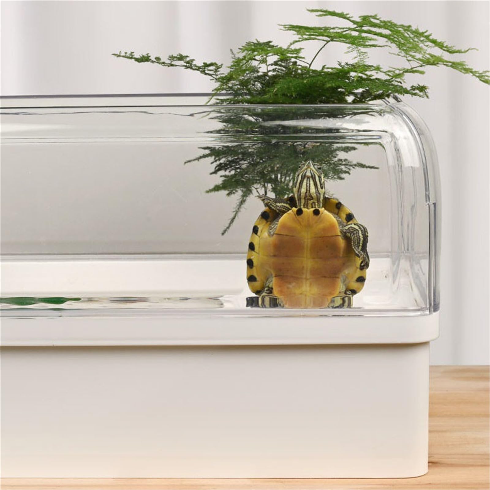 Siedlisko terrarium Zbiornik do karmienia żółwi białych z platformą suszenia na słońcu hodowli Terrarium akwariowe