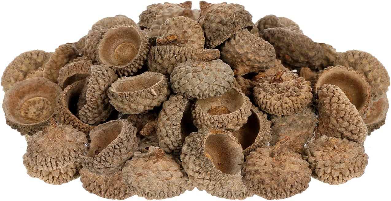 Natural Acorns Top Bulk Real Rustic Acorns Caps for Craft Christmas Thanksgiving Pine Cone Ornament Winter Xmas Tree Wreath Vase Filler Decoration 50PCS
