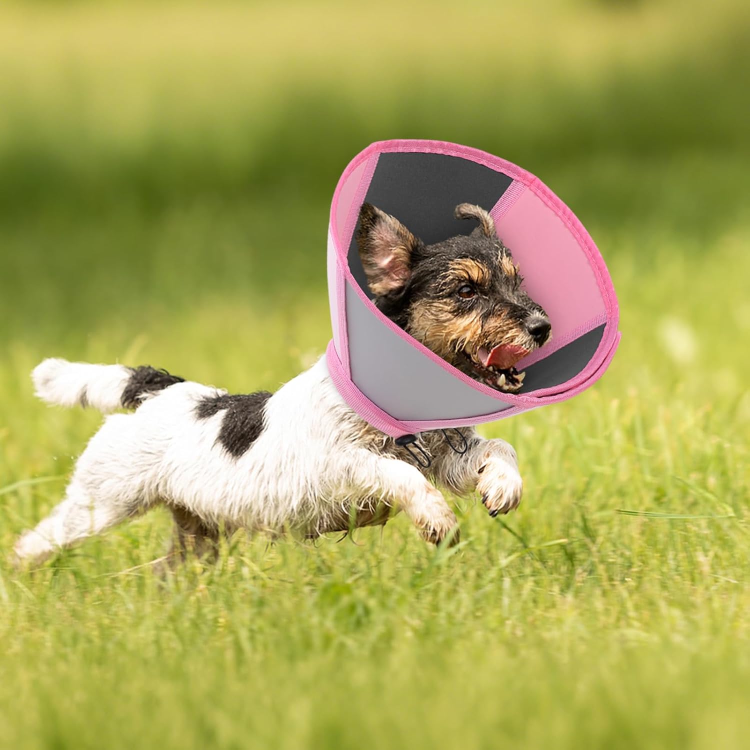 Queenmore Dog Cone Collar, Dog Cones for Small Dogs, Soft Cone for Small Dogs, Waterproof Pet Cones After Surgery to Stop Licking, Easy Clean Recovery Collar for Wound Healing (Light Pink,S)