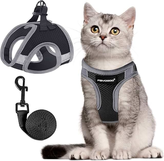 FAYOGOO Katzengeschirr Ausbruchsicher mit Leine, Katzengeschirr Fluchtsicher & Verstellbar Katzenleine mit Reflektorstreifen für Nächtliche Sicher & Bequem für Katzen, Schwarz M product image