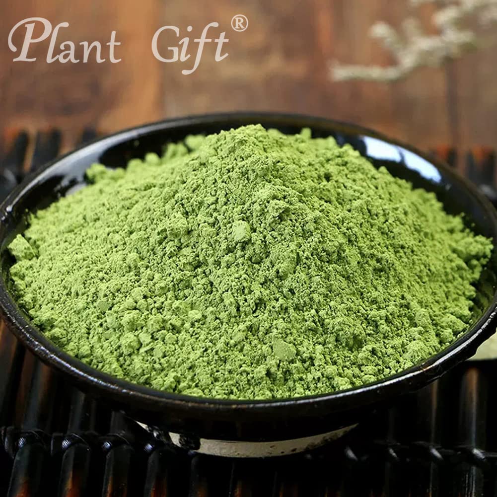 Plant Gift 100% Pure Lotus Leaf Flour 荷叶粉 Polvo natural de hoja de loto, excelente sabor para bebidas, batidos, tostadas, galletas, pasteles y bebidas, 100g / 3.25oz