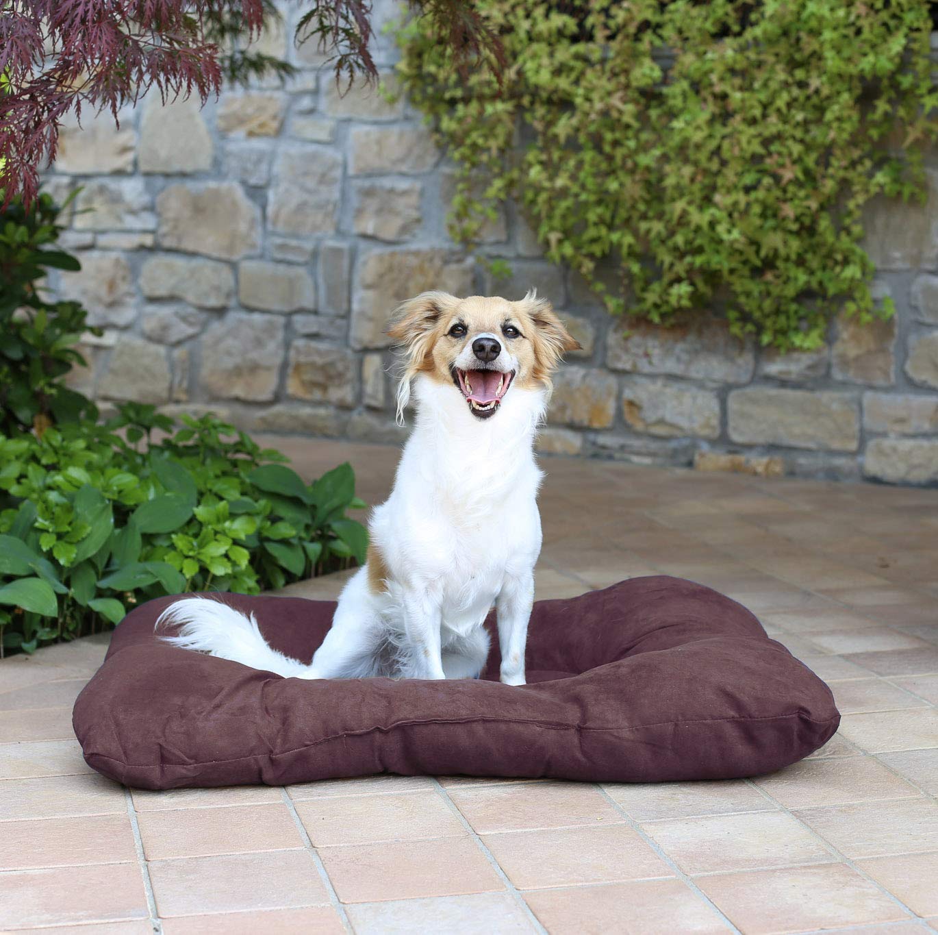 Sogni e Capricci Pets Package No. 2 Brown Pet Cushion 77 x 60 cm