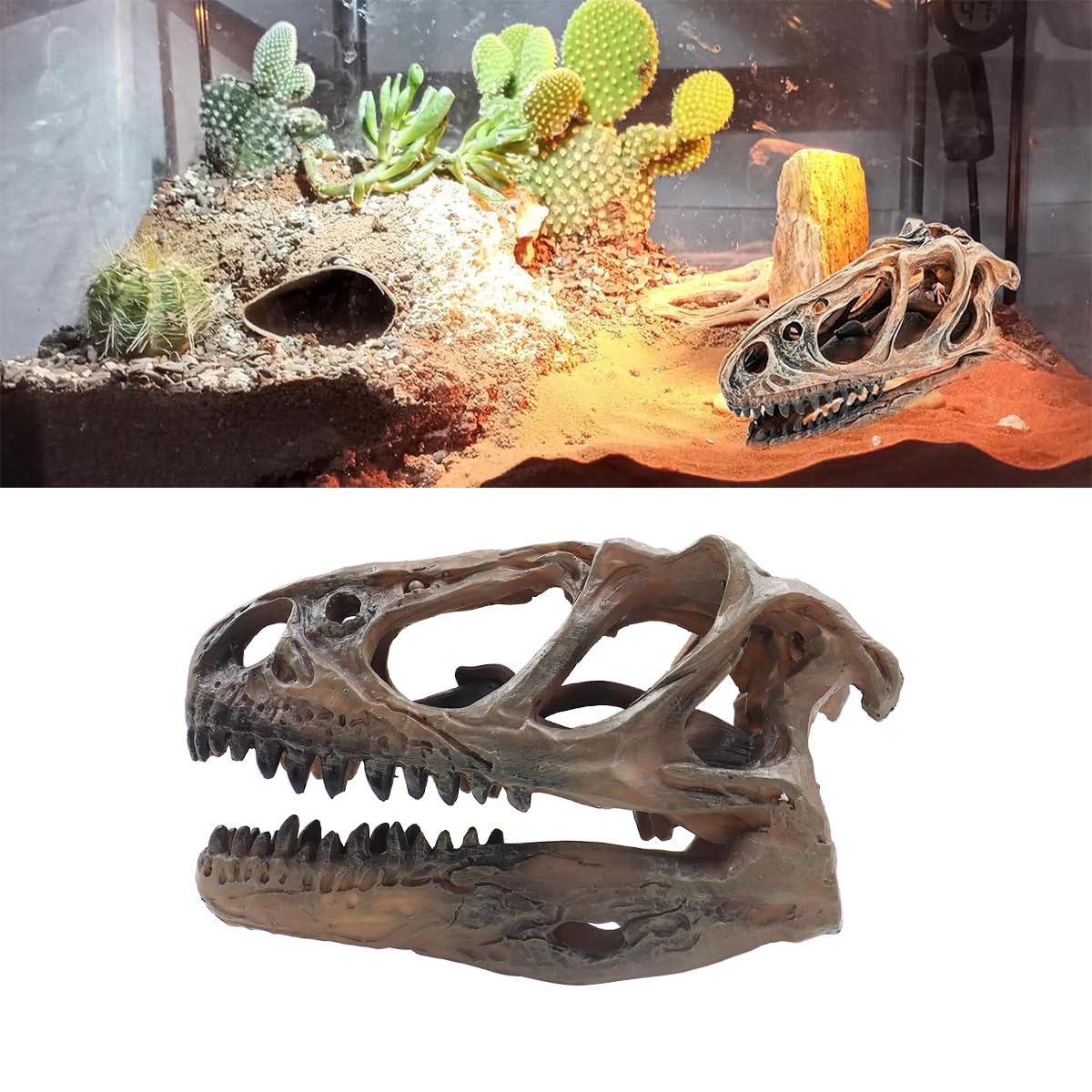 Ludom Crâne de Tyrannosaure en résine - Crâne de dinosaure pour cachette de poisson - Aquarium - Terrarium - Accessoires photo - Outil éducatif - Décoration d'intérieur