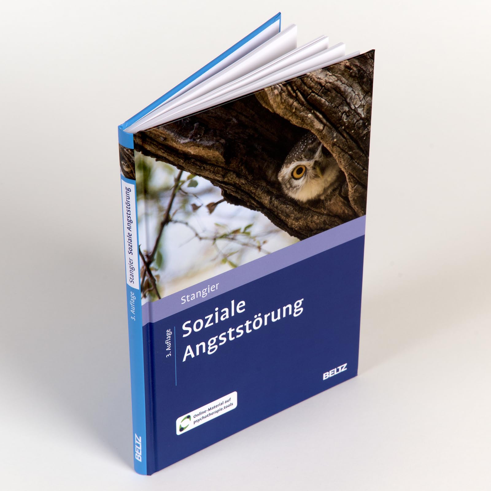 Soziale Angststörung: Mit Online-Material