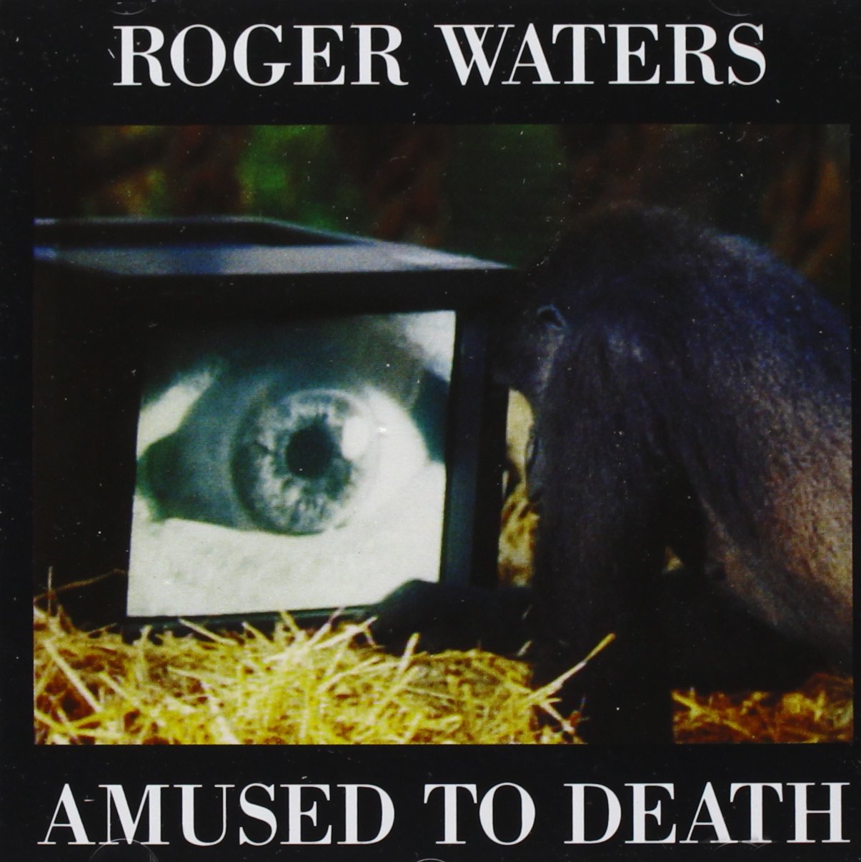 Amused to Death [Audio CD]