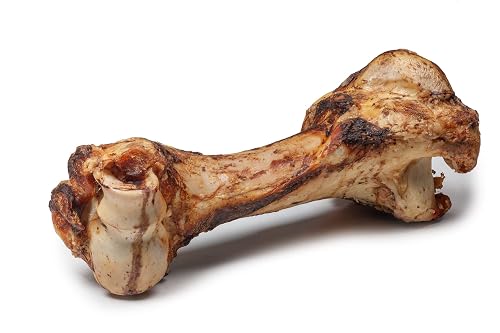DIBO Hueso Mamut, Aprox. 30 cm, el pequeño Aperitivo Natural o golosina para morder, Comida para Perros