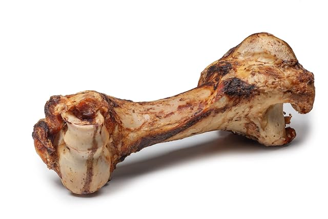 DIBO Hueso Mamut, Aprox. 30 cm, el pequeño Aperitivo Natural o golosina para morder, Comida para Perros