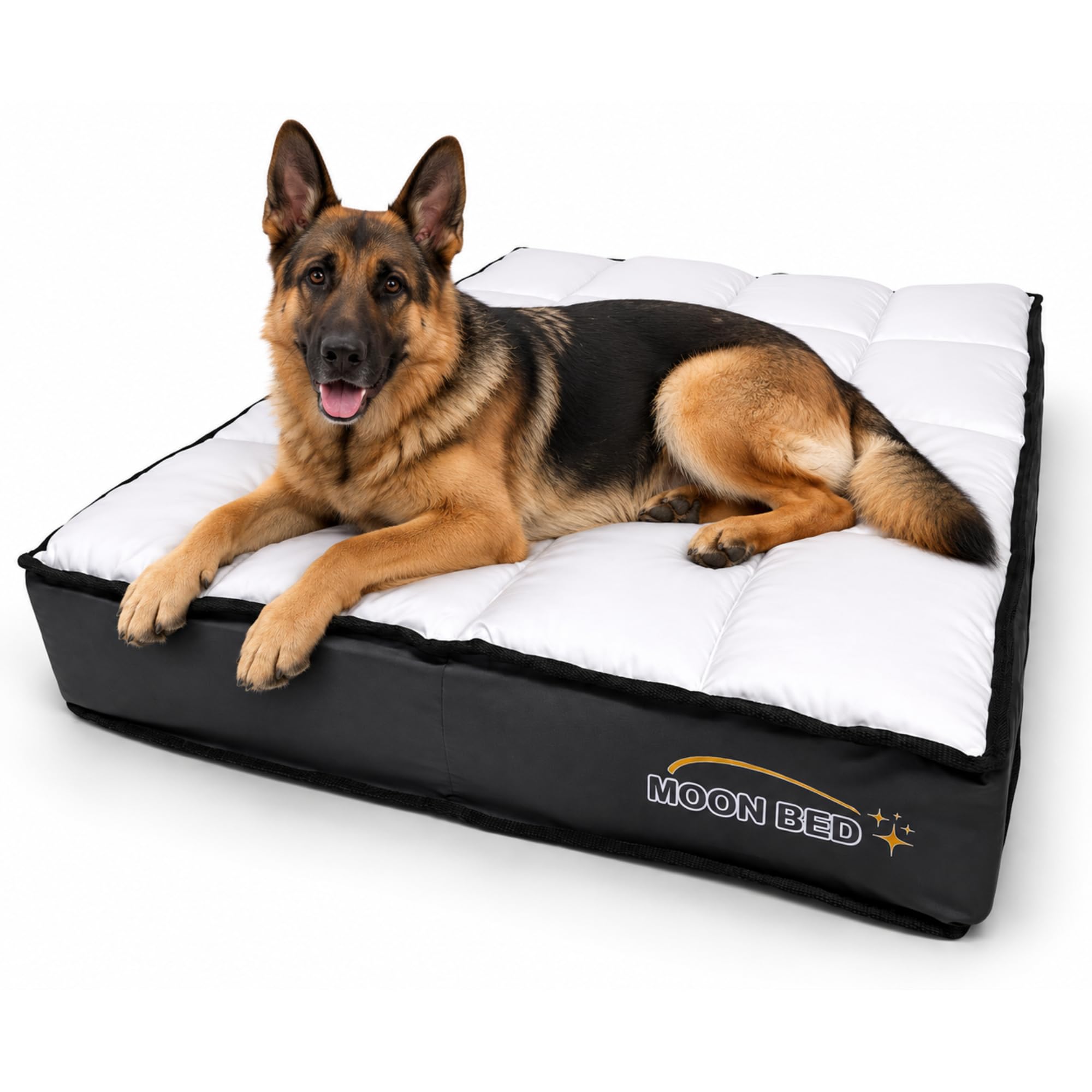 MoonBed - Cama para Perros Lavable, Colchón Premium de Espuma de Alta Densidad, Funda Acolchada Extraíble con Cierre, Tela Semi Repelente a Líquidos, para Perros Pequeños, Medianos, Grandes y XL