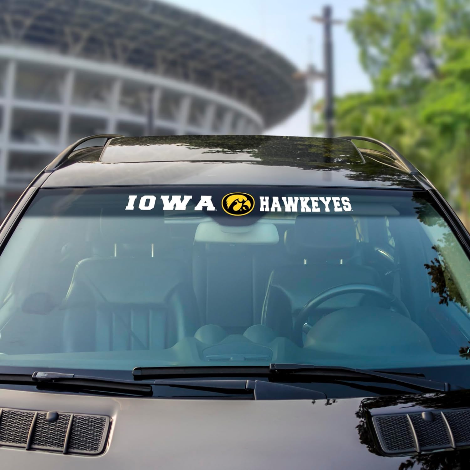 Fanmats NCAA Texas Longhorns Windshield Decal