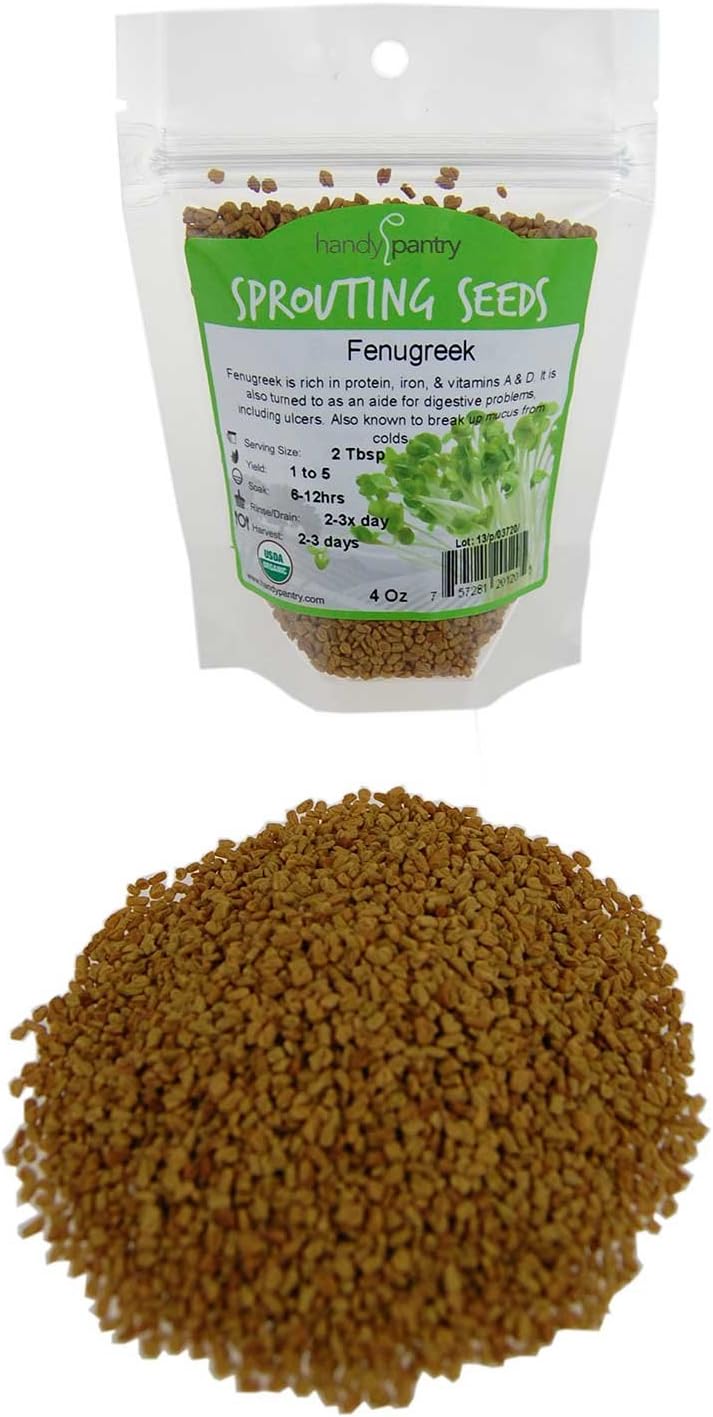 Amazon Com Organic Fenugreek Sprouting Seeds 4 Oz Handy Pantry Brand Seeds For Planting Hydroponics Growing Sprouts Grinding For Spices More Patio Lawn Garden