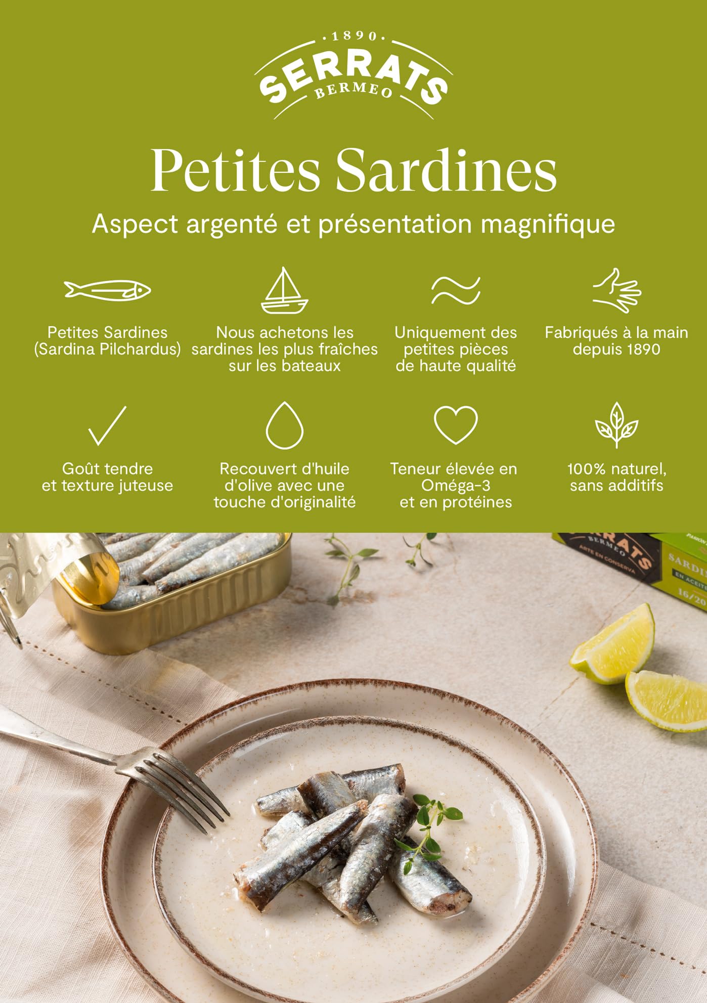 CONSERVAS SERRATS - Sardines Txikis à l'Huile d'Olive Vierge Piquante - 12 Boîtes x 115g (Total : 1380g) - Avec une Touche de Piquant Équilibré - Fabrication 100% Artisanale