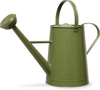 National Tree 17 Inch Garden Accents Green Metal Watering Can (GAWC30-17G)