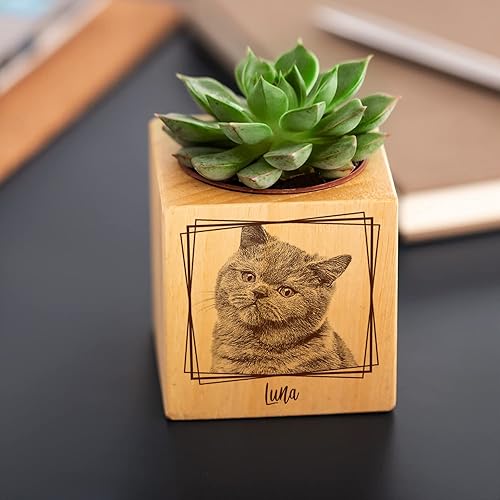 Miniatura 5 de Plantas suculentas vivas, maceta de madera impresa con foto personalizada para mascotas, regalo ideal para los amantes de las mascotas y recuerdo