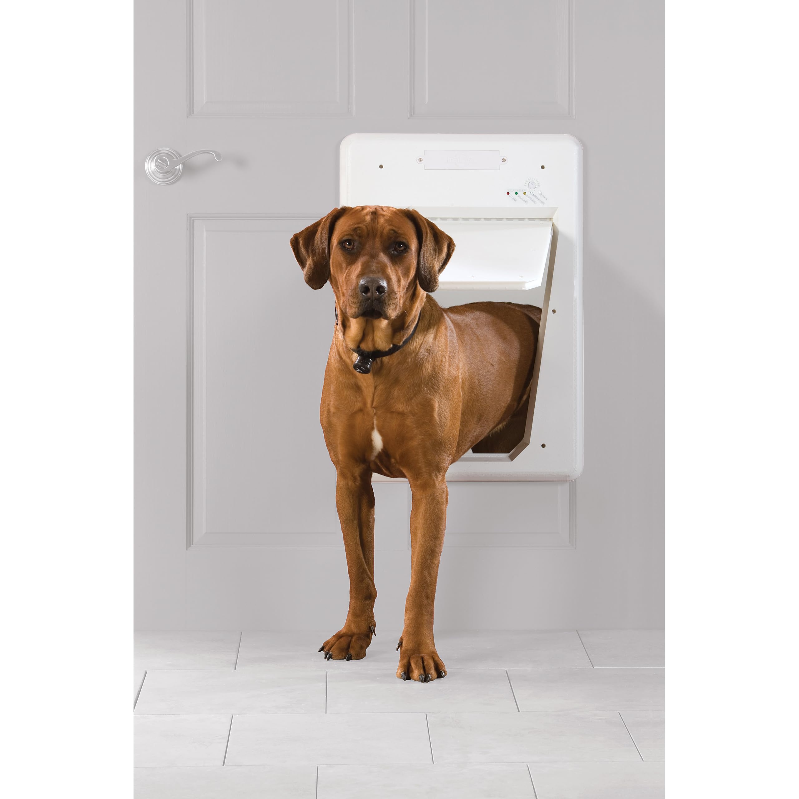 PetSafe - Porta per Animali Elettronica SmartDoor - Accesso con Chiave, Modalità Programmabili, Efficiente Energeticamente - Grande